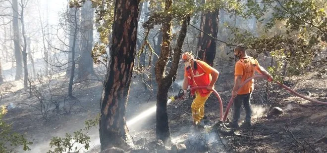 Zonguldak Devrek’te orman yangını çıktı