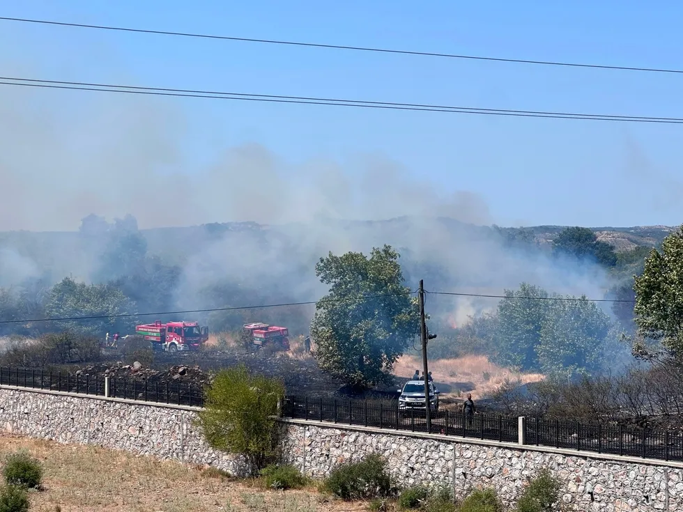 Çanakkale Ayvacık’ta otluk alan yangını söndürüldü - 4