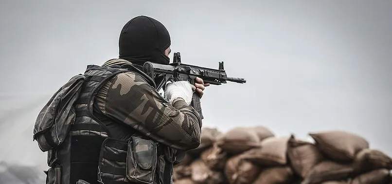 Şırnak'ta 2 terörist öldürüldü