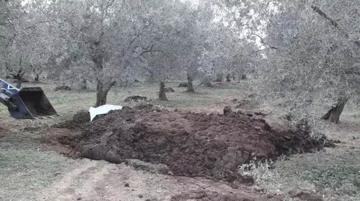 1720595429657.jpeg Gübre içindeki cesette sır perdesi aralandı! Boğazı kesilerek öldürülmüştü... En yakını için kırmızı bülten - 5