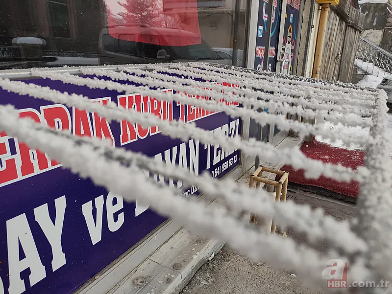 Görüntüler Türkiye'den! Kirpikleri ve sakalı soğuktan dondu 1