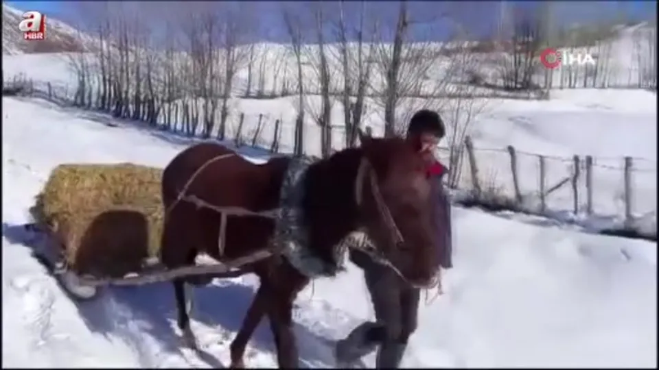 Besicilerin kar altında zorlu mesaisi