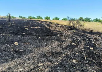Malatya'da korkutan yangın
