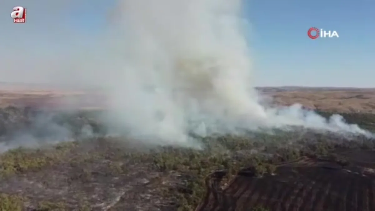 Çorum’da arazi yangını ormanlık alana sıçradı: Ekiplerin müdahalesi sürüyor