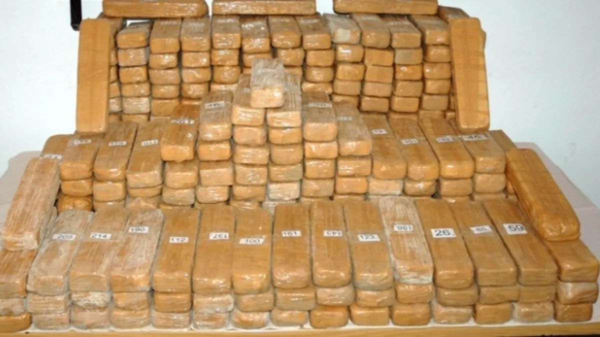 Zehir tacirlerine darbe! 1 ton 413 kilo esrar ele geçirildi | Piyasa değeri 1 milyar 271 milyon TL