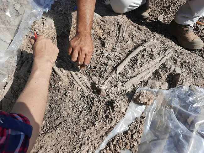 Mardin’de 12 bin yıllık tapınak gün yüzüne çıkarıldı