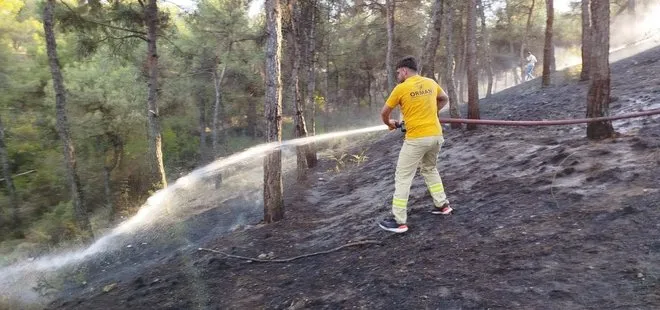 Sinop’ta çıkan orman yangını söndürüldü