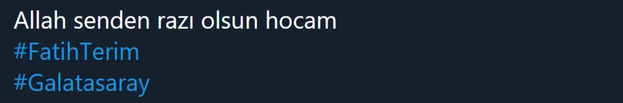 Aslan Kadıköy'de uykusundan uyandı! İşte Terim'in golden sonraki son hali 15