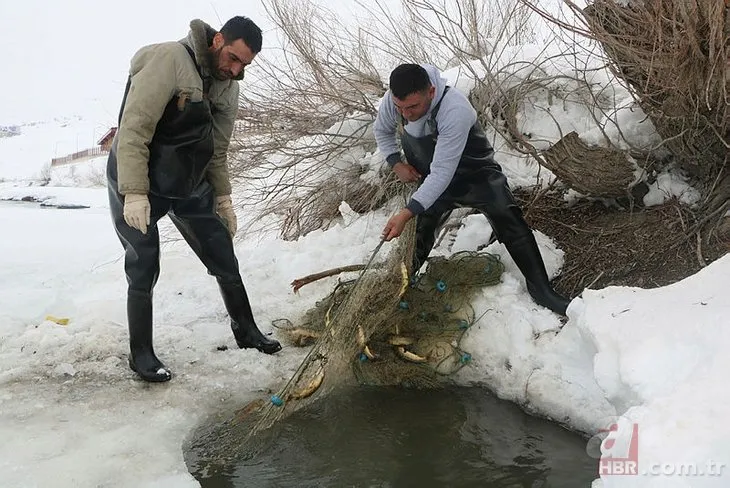 Türkiye’de buz tutan Nehil Çayı’nda Eskimo usulu balık avı yaptılar