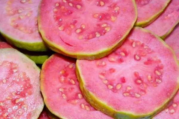 15 liradan satılıyor! Kansere karşı mucizevi meyve! Kimse bilmiyordu, o ilimizde hasadı başladı!