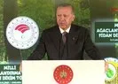 Başkan Erdoğan duyurdu: 81 ile 81 millet ormanı