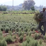 Bunları yapan köşeyi dönüyor!