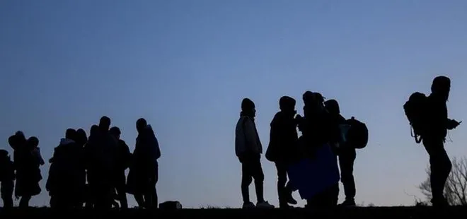 Sınırı geçmeye çalışan 113 Afgan göçmen yakalandı