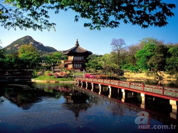 Sınırları küçük, teknolojide dünyaya kafa tutuyor! 6