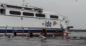 İDO seferleri iptal edildi