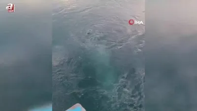 Gölde esrarengiz görüntü