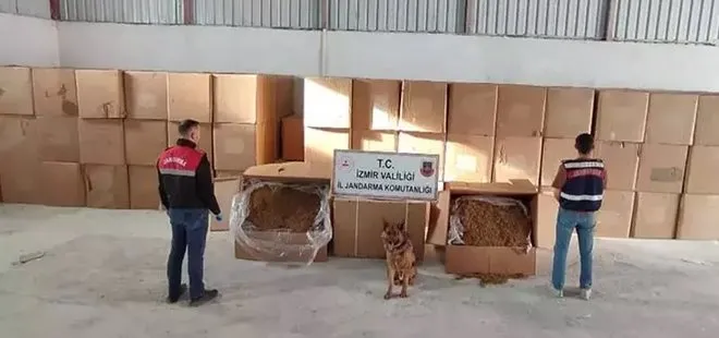 İzmir'de 6 ton kaçak tütün ele geçirildi