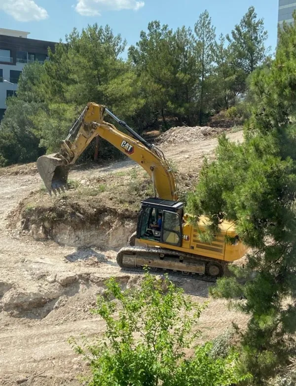 1688821510837.jpg Sözde çevreci CHP'li İzmir Büyükşehir Belediyesi'nden katliam: 50 yıllık çam ağaçlarını kestiler - 4