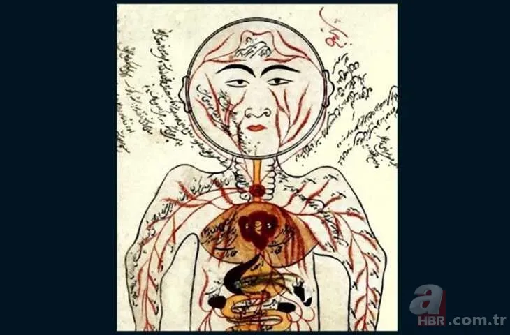 Şifalı tarif ve reçeteleri günümüz hastalıklarında bile etkili! İbn-i Sina 10 asır önce KALEME ALDI! Baş ağrısı, uçuk, mantar, böbrek taşı... 9