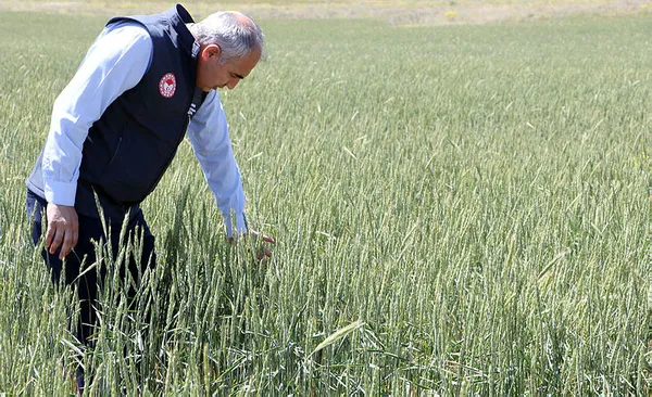 Başkan Erdoğan 7 ile göndermişti! Sonuç verdi - 2