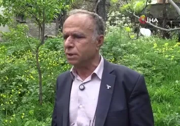 Artvinli arıcılardan sahte bal uyarısı