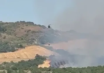 Balıkesir'de arazi yangını! Müdahale sürüyor