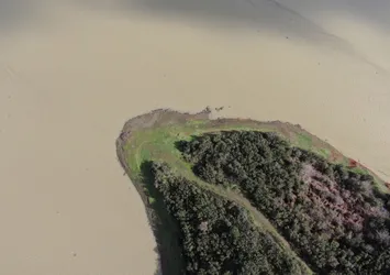 Alibeyköy Barajı'nda suyun rengi değişti