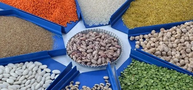Son dakika | TMO’dan hububat açıklaması: 11 milyon tondan fazla aldık