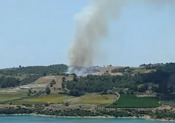 Adana'da orman yangını! Ekipler kırmızı alarmda