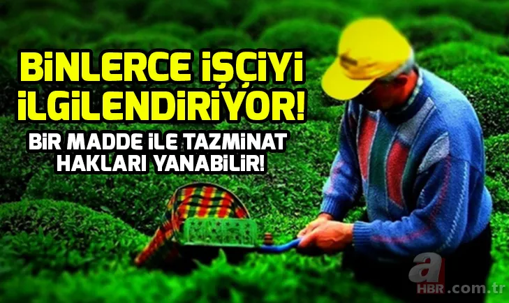 Son dakika sezonluk (mevsimlik) işçiler tazminat alabilir mi? Kıdem tazminatı hesaplama nasıl yapılır? 1