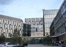 Fon soruşturmasında offshore hattı!