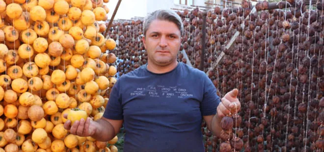 ’Cennet elması’ için hasat telaşı başladı