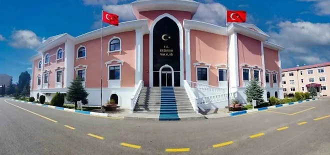 Erzurum Valiliği'nden "Ölü hayvan" açıklaması