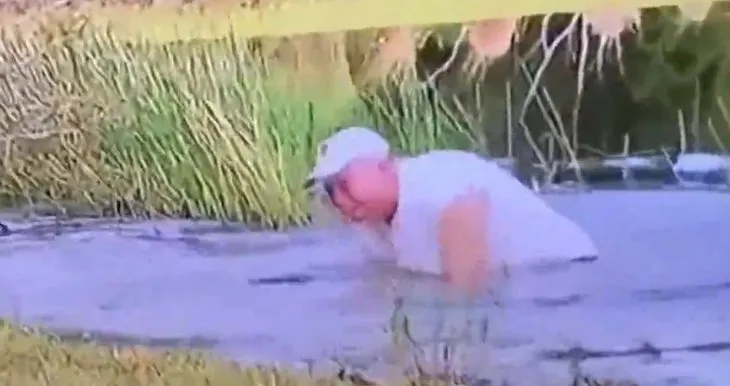 Timsah 3 aylık köpeği kapıp göle girdi! Sahibi arkasından atlayıp timsahla böyle boğuştu