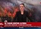 Flaş açıklama! Yurt genelindeki 66 yangın kontrol altına alındı
