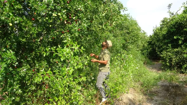 Fahiş fiyatla nasıl mücadele edilir? Uzmanlardan fahiş fiyata tavsiyeler