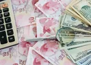 Merkez Bankası dolar alış kuru ne kadar?