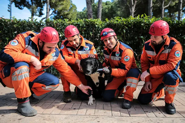 enkazdan-cikartilan-kopek-ekibin-yeni-uyesi-oldu-hayat-baska-hayatlari-kurtaracak-1677056877345.jpg Enkazdan çıkartılan köpek ekibin yeni üyesi oldu! "Hayat" başka hayatları kurtaracak - 5