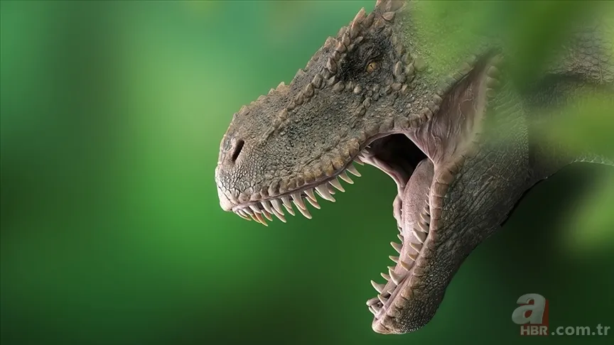 70 milyon yıl sonra bulundu: Yüzlerce dinozor yumurtası bir arada 7