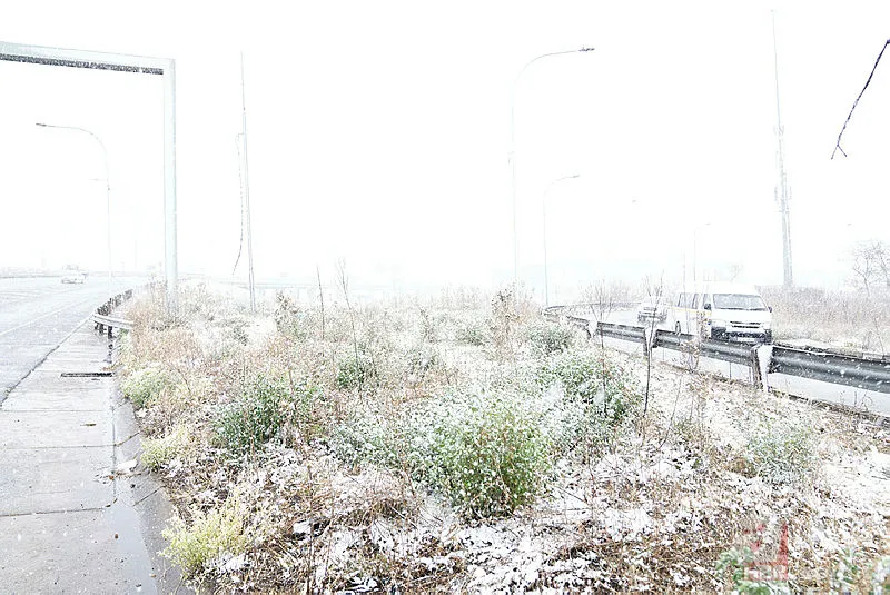 Güney Afrika’ya yıllar sonra kar yağdı! 7