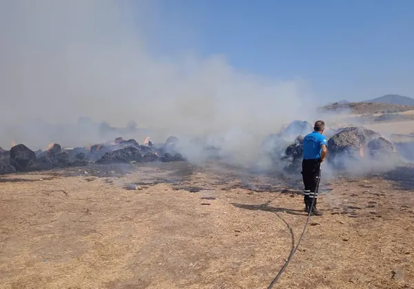 Son dakika: KKTC’de orman yangını: havadan müdahale sürüyor! 1000 hektardan fazla alan yandı