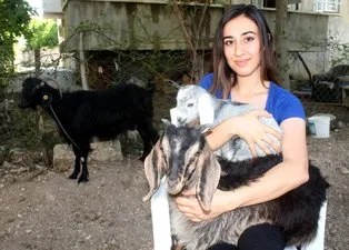 Kurban Bayramı’nda kesmek için aldı... Sabah görünce şoke oldular! Milyonda bir görülen...