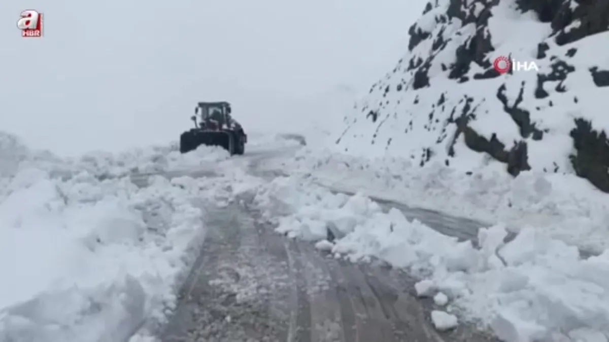 Şırnak'ta karla kaplı yollar açılıyor