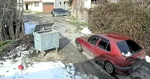 Köpeği ezip yoluna devam etti