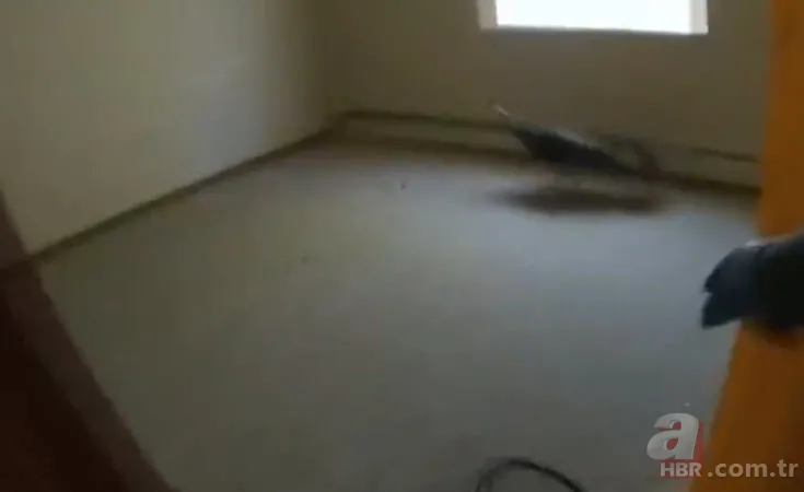 Eve giren firari vahşi hindi ortalığı birbirine kattı! ABD polisinden "özel hindi operasyonu" 13