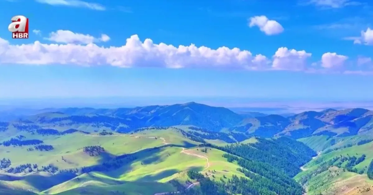Altay Dağları’nın eşsiz hazinesi