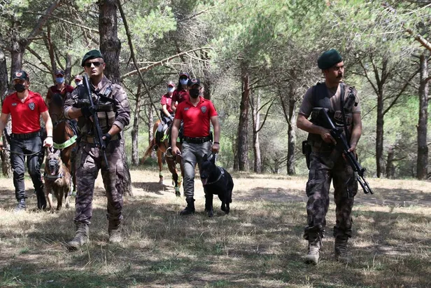 İstanbul'da ormanlara giriş yasaklandı mı? İstanbul'da piknik mangal yapmak yasak mı? İstanbul'da yangın var mı? - 4