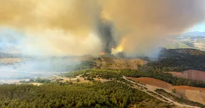 Manisa’da orman yangını