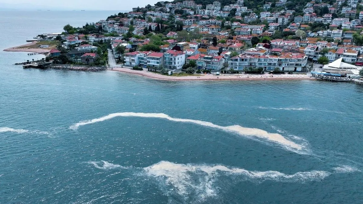 Müsilaj oluşumu görülen illerdeki balıkçılara ilave ödeme yapılacak! Resmi Gazete'de yayımlandı