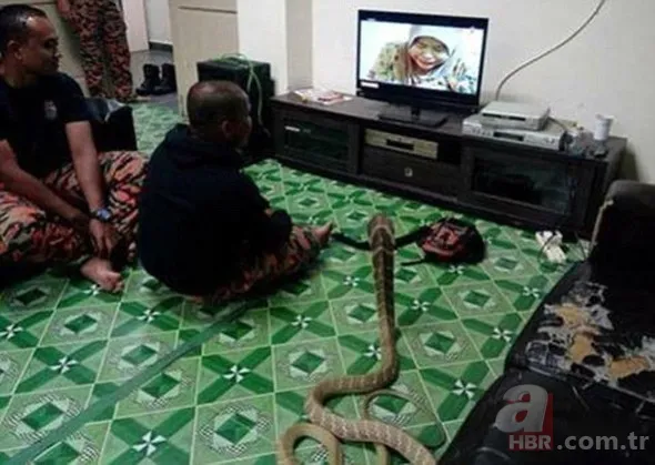 Chloe'nin bakışı servet olarak geri döndü 13